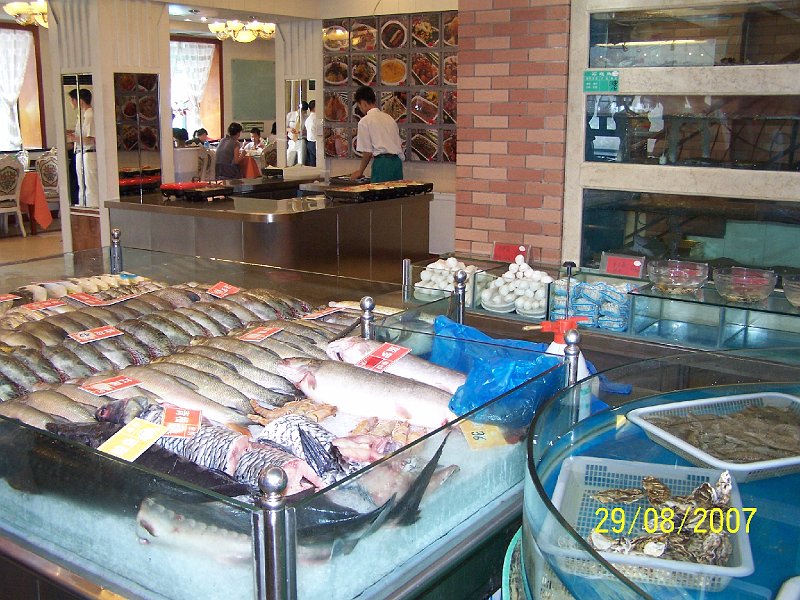 100_2897.JPG - A nesm chba ani ryby! ***** Fish mustn't be missing!